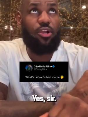 Our personal favorite LeBron meme 🤣  #atlantafalcons #memestiktok #nflfootball #sports #funnymoments 