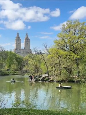 life in NY recently…