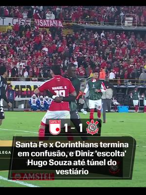 Fernando Diniz levou Hugo Souza até o vestiário na confusão após Independiente Santa Fé x Corinthians! Assista aos jogos da CONMEBOL Libertadores pela ESPN no Plano Premium do #DisneyPlus! #LibertadoresNaESPN #corinthians #tiktokesportes