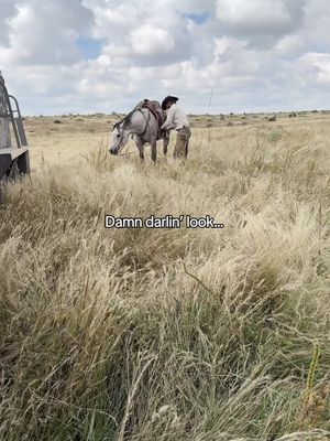Damn darlin’ look… 👀❤️‍🔥 #cowboylove #cowboylife #countrymusic #newmusic #cowgirl 