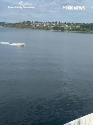 A 21-year-old boater was arrested on suspicion of DUI after crashing into rocks near a dock in Washington state. Witnesses say the boat was speeding and nearly hit two ferries before crashing into a rock embankment. Video circulating online appears to show the operator unconscious behind the wheel.