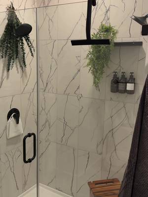 Elevate your shower easily with these 5 things 🧼🍃 #homedecor #bathroomupgrade #bathroomdecor #interiordesign #bathroomdesign 