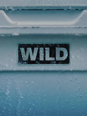 If you live for it, there’s FOUR Letters for it.  #BuiltForTheWild 
