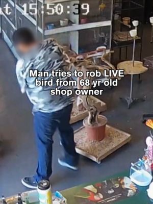 He tried to walk out with the bird… yeah, that didn’t go how he planned #CustomerWars  #caughtoncamera #robbery #fyp