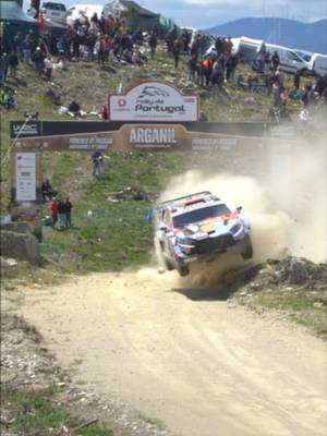 Takes more than a rock to stop Dani Sordo 👀 #wrc #rally #motorsports