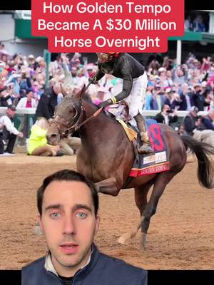 Always follow the money 💰#goldentempo #horse #horses #horseracing #greenscreen  
