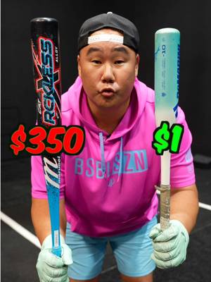 $1 Bat vs $350 Bat #baseball #hitting #fypシ 