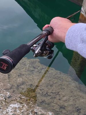 DAY TWO OF TRYING TO CATCH AN AMAZON-SIZED PEACOCK BASS IN SOUTH FLORIDA‼️ • • Click the link in my bio! (Mystery tackle box) • • #fishing #fishtok #peacockbass #florida #fyp 