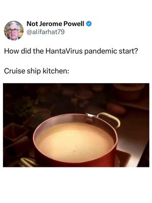 How did the HantaVirus pandemic start? Cruise ship kitchen: #memestiktok😂😂 #memesdaily #Memezar #Memes 