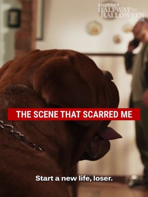 Spoiler Alert‼️ Turns out dogs aren't immune to demonic possession. #WhenEvilLurks #horrortok #terrifying
