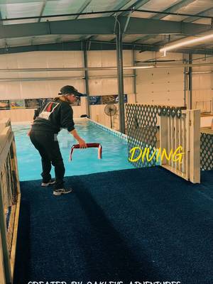 #CapCut #dockdiving 