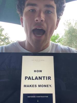 How does palantir make money? 
