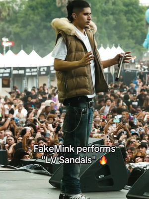 YOU HAD TO BE THERE 👀 #fakemink #rollingloud 