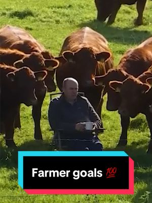 Just a farmer and his friends watching the golf #farmer #golf 