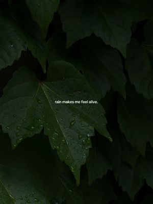 how i love this weather 🍃🌿🌧️  #rainy#leaves#nature#calmingvibes#quietlife fyp, cozy life, aesthetic