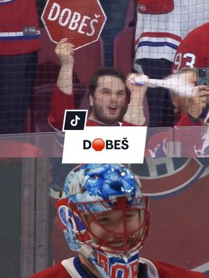 Plein d'amour pour Doby 🫶 So much love for Doby #Crowd #Ovation #NHL #Playoffs 
