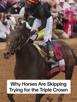 This year's Kentucky Derby winner Golden Tempo is skipping the Preakness Stakes and a shot at the triple crown. Experts believe the coveted title may no longer be worth the risk. #horseracing #kentuckyderby #preaknessstakes #triplecrown