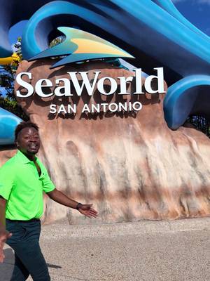 SeaWorld San Antonio’s Electric Ocean is back with an all-new show, returning favorites, and nonstop summer fun! Mark your calendars for May 22 as we kick off the season with unforgettable nights at the park. 🌊✨