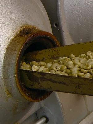 The thorough process of making coffee! ☕️😋 #HowItsMade #coffeetok coffee