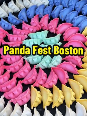 This weekend, May 15-17, @Panda Fest Boston returns with over 80 vendors and 200+ dishes. Check out their page for more details!  📍Ohiri Field 65 N Harvard Street, Boston MA @Panda Fest  #foodfestival #boston #pandafest #asianfood 