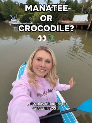 The ending 🥹🥹 Such a fun paddle adventure on my @Niphean paddleboard! 🩵🫶 #crocodile #manatee #florida #floridalife #paddleboard 