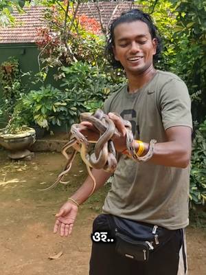 বিষধর সাপ ও অপরূপ উপকূল - শ্রীলঙ্কা 🇱🇰 #srilanka #srilankavlog #bangladeshi #tiktokvlog