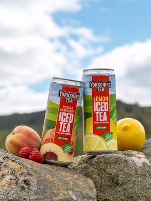 To the people of Yorkshire, We would like to formally apologise for the release of our new product, Yorkshire Tea Iced. We are painfully aware that drinking cold tea out of a can is an act of severe treason. In our defence, it does come in two delicious flavours, can now be purchased in @sainburys and online (link in bio) and delivers a level of refreshment so intense it cannot currently be measured by human technology. Nonetheless, it is nothing short of heresy and we are truly, deeply sorry. Yours, in shame, Yorkshire Tea. x