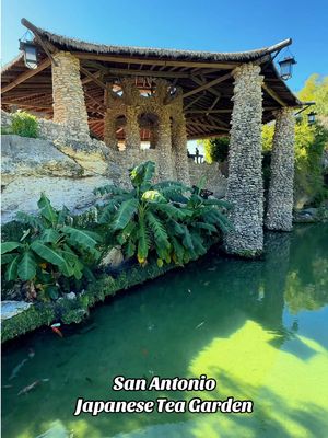 One of the prettiest hidden gems in San Antonio 🪷🌿 The Japanese Tea Garden is filled with koi ponds, waterfalls, stone bridges, lush greenery, and peaceful pathways right in the middle of the city. After exploring the gardens, stop by Jingu House for sushi rolls, ramen, bento boxes, steam buns, boba tea, cocktails and more. They also serve breakfast tacos until noon! ✨ 📍 @sanantoniojapaneseteagarden - 3853 N St. Mary’s St. M-TH: 10am - 4pm Friday: 10am - 5pm Sat - Sun: 9am - 5pm #japaneseteagarden #thingstodoinsanantionio #sanantonio #satx #sanantoniotiktok 