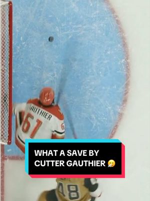 ohhhhhh my goodness 🫣 #NHL #StanleyCup #AnaheimDucks #VegasGoldenKnights 