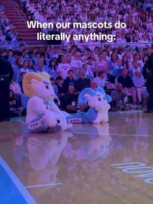 Just the cutest 🥰 @Rameses & RJ  #goheels #unc #gdtbath #trending #socute 