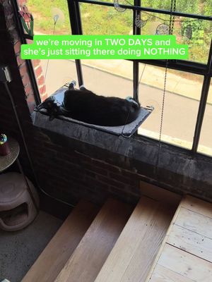 He’s just supervising 🧐