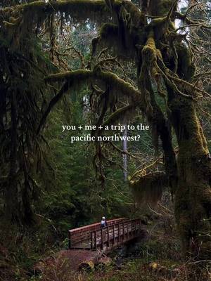 A trip to the pnw is literally always a good idea 🌧️ especially if it includes the Olympic peninsula!! Which, luckily, the trip I’m on right now includes 😉 #pnw #pacificnorthwest #twilightvibes #cozyvibes #cozyliving forks, index, Washington state, Olympic National Park, rainforest, pluviophile 