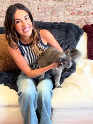 Day in the life of miso and ceviche! @Jinx Cat is exclusively available @Walmart! #ad