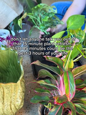 If the plants are happy, the apartment’s happy 🪴
