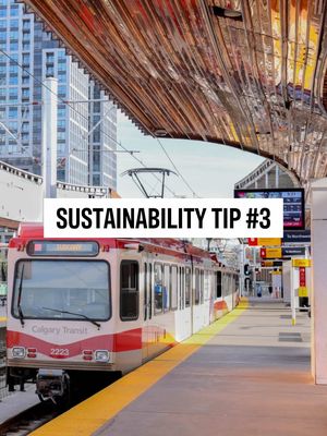 Think about how you’ll get to the start line! 🚉 Save yourself the stress of traffic and reduce your carbon footprint by taking transit, walking, or biking. We recommend taking the CTrain (to Victoria Park), biking and using our free bike lock-up by the Sam Centre, walking if you live nearby, or carpool with friends as a last resort.  Small choices on race morning can make a big impact! #calgarymarathon #runcalgary #greenathlete #morethanrun