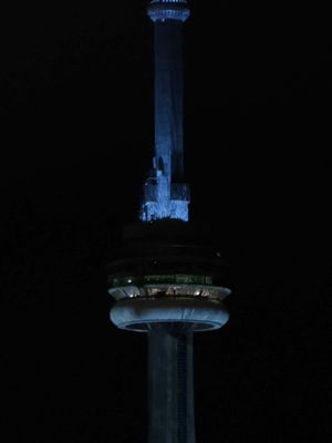 Iceman shades of views 🧊         #toronto #drake #iceman #views 