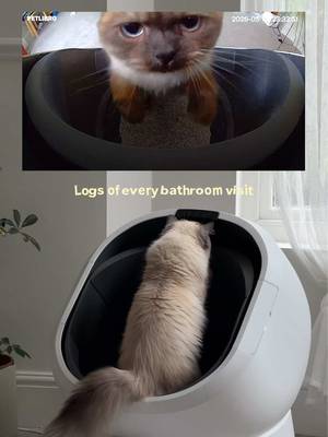 Our cats just got boujee-er with their upgraded litter box to the Luma Smart litter Box from @Petlibro and we couldn't be happier. Check link in my bio and use code CAKIE15 to get 15% off! #petlibro #homeinterior #catlitterbox #catessentials #catmoms
