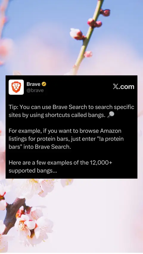 💡 Find what you need faster with Brave Search bangs. These shortcuts let you easily perform searches on specific sites. You can find the full list of bangs at search.brave.com/bangs #searchengine #TechTips #techtricks #bravesearch #bravebrowser 