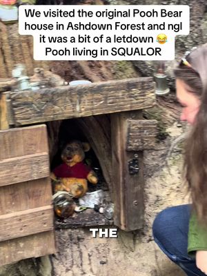 Stunnin’ Feng Shui Hun  #winniethepooh #disney #england #funny #forest 