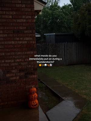 what movie are you watching during a thunderstorm?? ⛈️✨🍂 • i’m thinking of watching a scary movie tonight ~ leaning towards jeepers creepers to start the summerween vibes.  • • • #movienightideas #summerween #stormyweather #spookyweather #cozyweather 