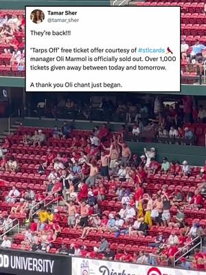 The “Tarps Off” fans who helped rally the Cardinals to a walk-off win last night are BACK 🔥 Cardinals manager Oli Marmol loved the energy the fans brought in right field, so he offered them free tickets to run it back again today 👏 (via tamar_sher/X)  #stlouis #cardinals #MLB #baseball #fans 
