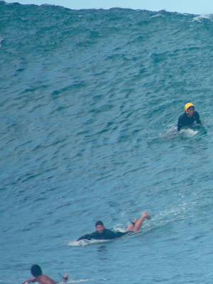 #fyp #surfing #ocean #oceanlife 