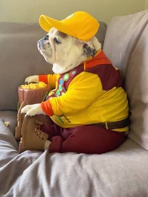 When mom signs you up for Pup Scouts...🏕️🔥🥾 #up #bulldog #fyp #foryoupage 