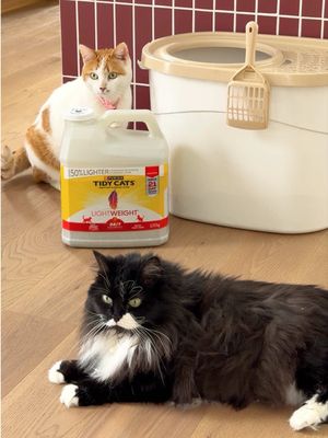 When you have cats, the Sunday Resets also include the litter box.😅🐱 Tidy Cats®️ LightWeight®️ makes it so much easier: 50% lighter to carry, barely any dust when you pour, tight clumps, and 21-day odour control. I love that it allows me to keep a fresh home, even with two little chaos agents living here. They run the house... I just keep it tidy. 🏠✨ #ad #tidycats #purinacanada @purinacanada 
