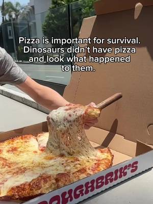 It’s basic science. #doughbrikspizza #daviddobrik #pizza 