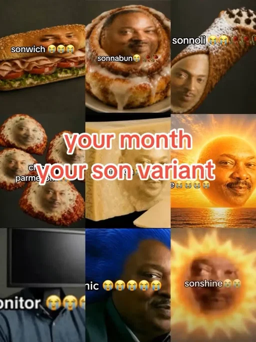 #sonion #son #meme 