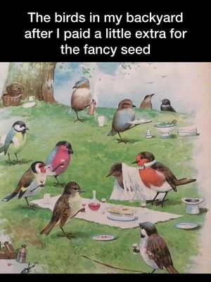Isn’t this a lovely how do you do . . #birds #birdseed #fancy #fyp #viral