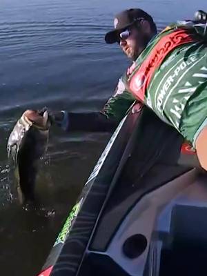 @Mercury Marine pro Michael Neal picked up right where he left off— catching massive Orange Lake bass at Heavy Hitters.  @Kubota Tractor Corporation @bassproshops #giantbass #whopper #ocalamarion #trophybass #firstcatchoftheday 