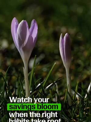 Growing your savings is one of the best gifts you can give your future self. Even if you start small, you’re planting something that can really pay off. Dig into our top savings strategies here: https://go.td.com/42M3ufo TD Bank, N.A., Member FDIC