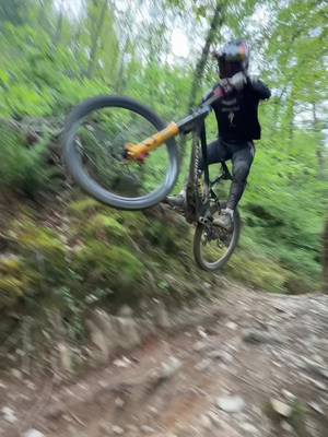 Dyfi bike park gaps 👌 #mtb #fyp 